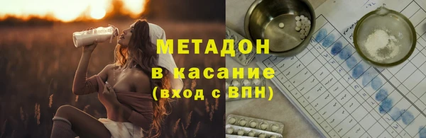 прущие грибы Алексеевка
