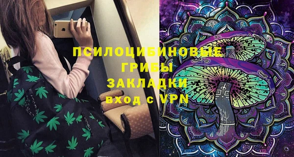 прущие грибы Алексеевка