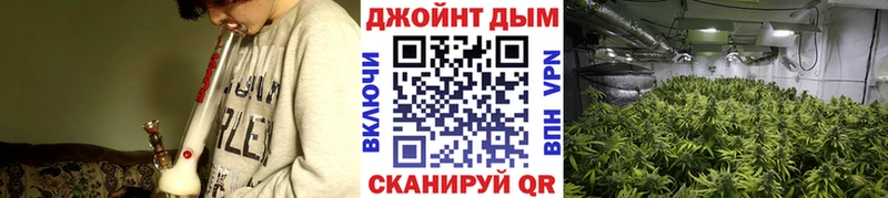 Конопля OG Kush  Игра 